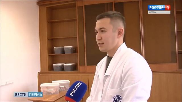 В Перми выводят насекомых питающихся пластиком