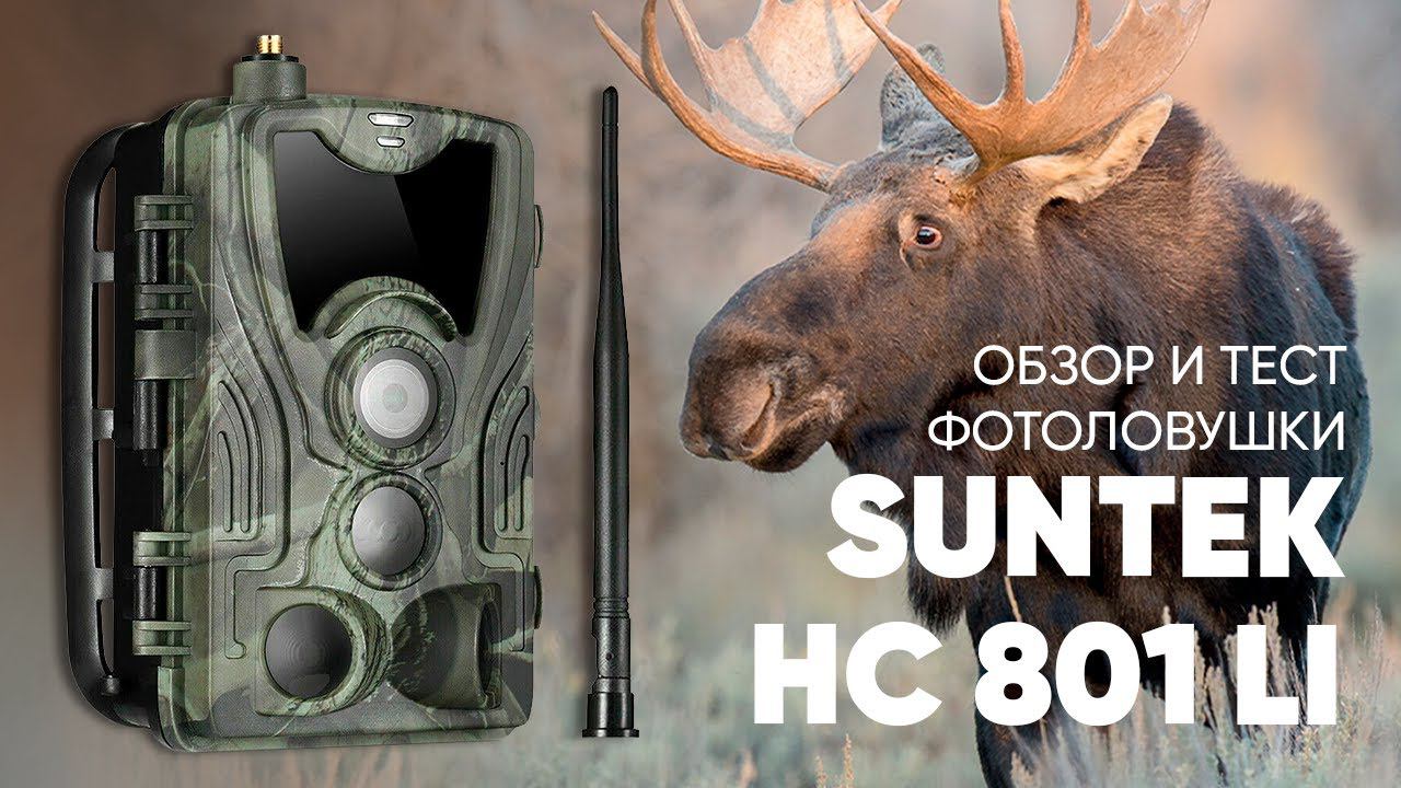 Обзор, тест и инструкция фотоловушки Suntek (Филин) HC 801 LTE Li | Amazin.Su смотреть онлайн
