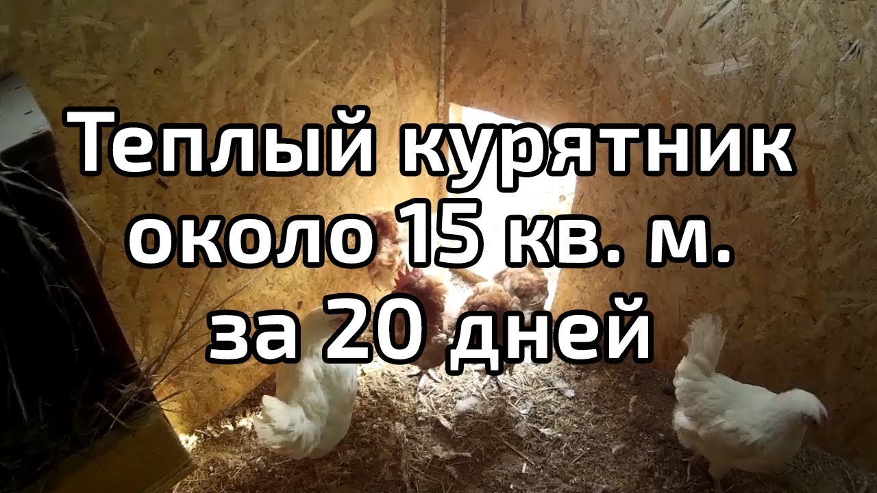Построил каркас теплого курятника около 15 кв.м. с тамбуром