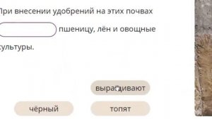 4 кл. Почвы разных природных зон. Природа. Окружающий мир.