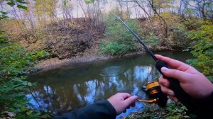 ГОЛАВЛЬ ОТРЫВАЕТ ТАРАКАНЫ / БАБЬЕ ЛЕТО 2022