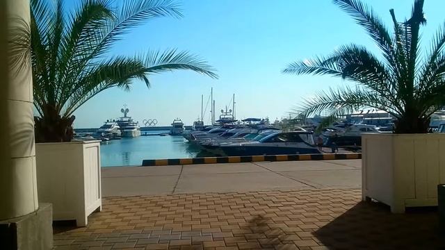 Чел снимает жопу девки, моющей яхту. Я снимаю чела, жопу и яхту. Девка чела не в курсах. смотреть онлайн