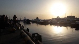 Ловля луфаря и ставриды в Сочи