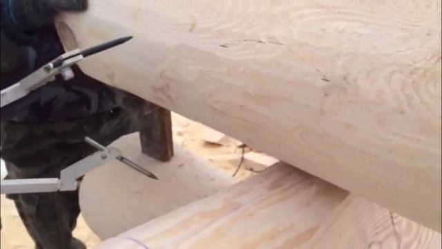 Канадская рубка смотреть онлайн