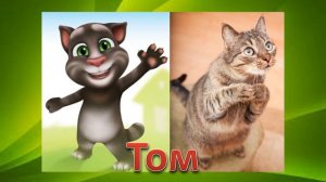 МОЙ ГОВОРЯЩИЙ КОТ ТОМ В РЕАЛЬНОЙ ЖИЗНИ 🐱 ВИДЕО ДЛЯ ДЕТЕЙ