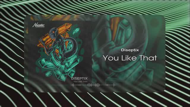 Diseptix - You Like That (Musical Visual)