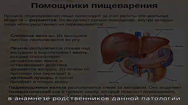 Симптомы и лечение анацидного гастрита