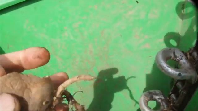 Т 25 и картофелесажалка БОМЕТ 239 смотреть онлайн