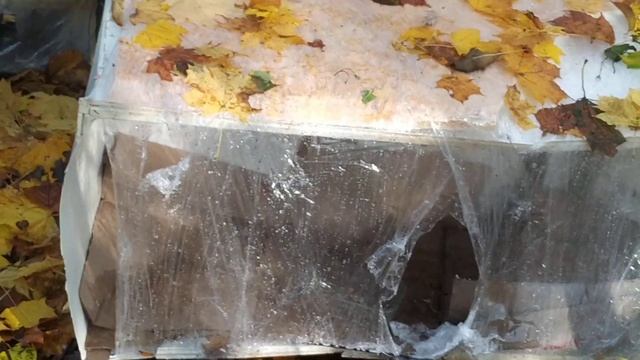 В хорошую погоду "бомжики" разбредаются кто куда смотреть онлайн