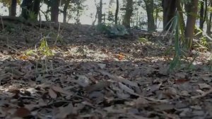 Радиоуправляемый Танк Heng Long Jagdpanther 3869-1