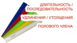 Длительность / последовательность удлинения / утолщения полового члена / Доктор Черепанов