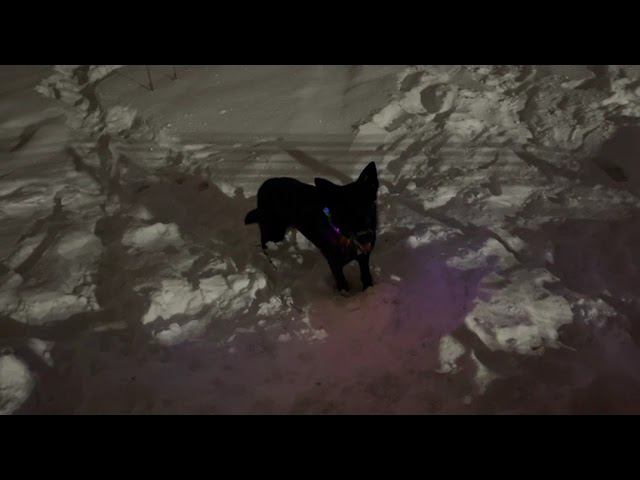 IMG 0107 смотреть онлайн