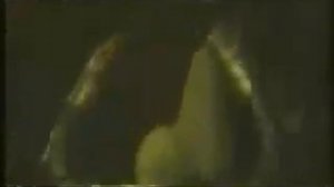 WWE - Goldust Titantron