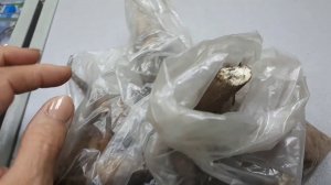 Деление георгины