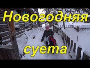 Пред новогодняя суета! Готовим избу к приезду младшего. Ответы по роботизированной коробке на машине