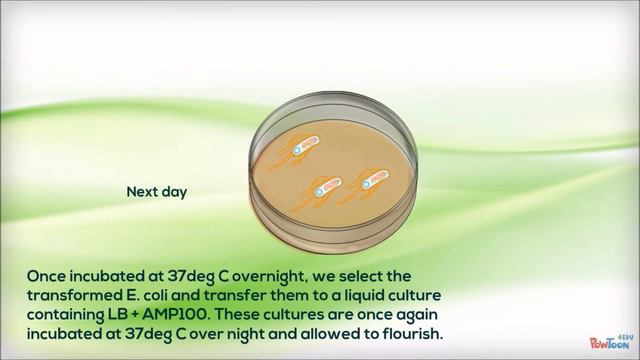 iGEM Concordia 2014 - Project Summary смотреть онлайн