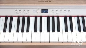Roland RP 701 Quick Start 2 Reisinger