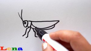 Grashüpfer zeichnen - How to draw a grasshopper - как нарисовать кузнечика