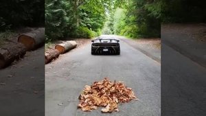 Осенние видео Выхлопа  ламбо?тюнинг ламбо