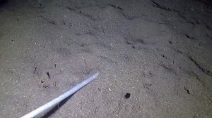 Amed Beach Resort. Bali, Amed