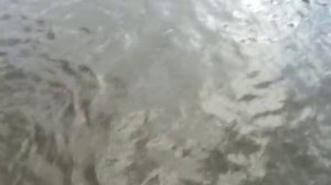 Ловля Ленка Осенью