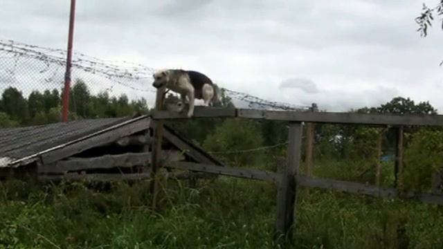 побег через колючку смотреть онлайн