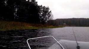 Осенняя рыбалка на Пироговском водохранилище