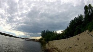 Восколько клюёт сом. Ловля сома донками.