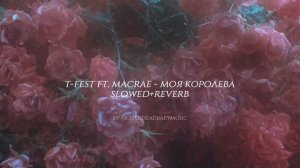 t-fest ft. macrae - моя королева | slowed + reverb