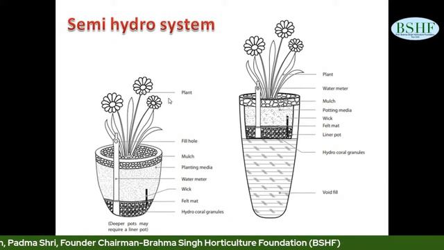 BSHF Webinar 4H- Talk-12, Plant-ways for Urban Life