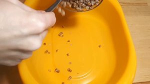 КОТЛЕТЫ ИЗ ГРЕЧКИ С СЫРОМ – Отличный Способ Полюбить Гречку! САМЫЙ ПРОСТОЙ РЕЦЕПТ гречневых котлет