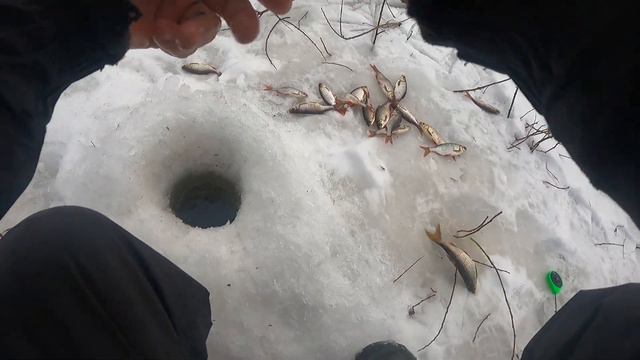 Красноперка на мормышку в марте