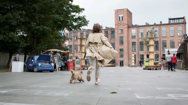 Why Dogs Follow You EVERYWHERE! смотреть онлайн