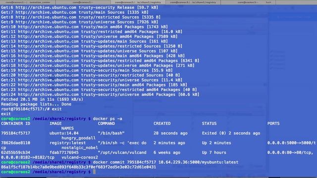 ViPR 2.1 & Docker Registry смотреть онлайн