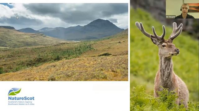 Beinn Eighe National Nature Reserve - the UK's first National Nature Reserve - Ian Sargent смотреть онлайн