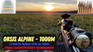 Орсис Alpine на 1000 метров кучность