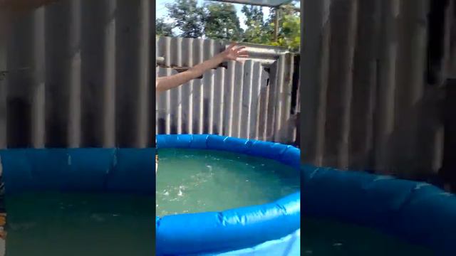 извините что нету концовки но а ролик называется бассейн смотреть онлайн