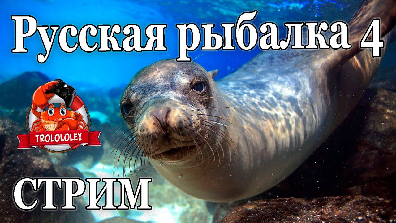 Русская рыбалка 4. Челендж стрим на 2500 серебра смотреть онлайн
