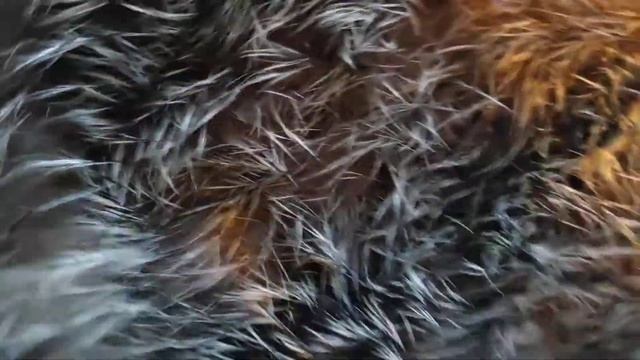 Чистка чернобурки после зимы 1#меха смотреть онлайн