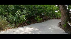 Sunset Beach Villa Siyam World Maldives