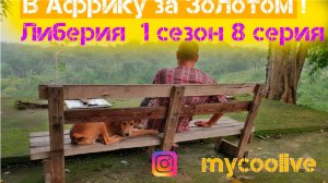 В Африку за Золотом 1 сезон 8 серия.mp4