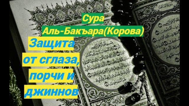 Сура Аль Бакара(Корова)Защита от порчи/сглаза и джиннов #ПризывМусульман