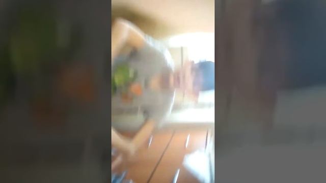 Делаю огромный мыльный пузырь смотреть онлайн