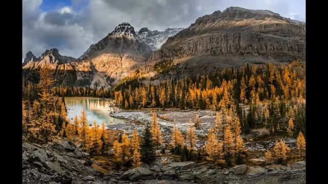 Вальс Энтони Хопкинса Андре Рьё и оркестр 2011 смотреть онлайн