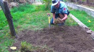 16 Какое чудо фиолетовый Алмаз (2).mp4