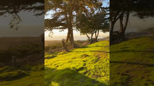 Калифорния / Берега тихого океана / California / Shores of the Pacific Ocean