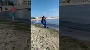 Медузы в Балтийском море