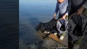 Рыбалка в ноябре, Астрахань