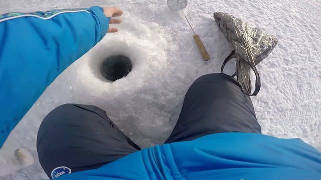 Ловля окуня зимой