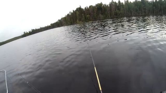 Рыбалка с ложкой дёгтя смотреть онлайн